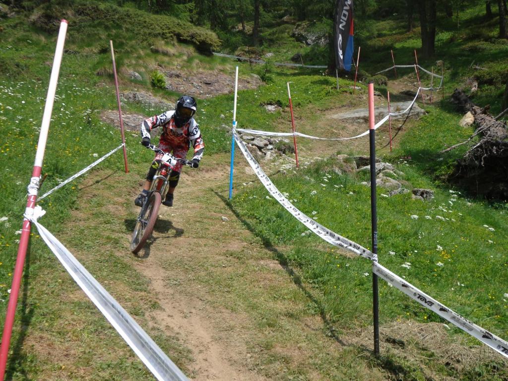 Albergo Alpenrose Ski&Bike Mountain Hotel Грессоне-Сен-Жан Экстерьер фото