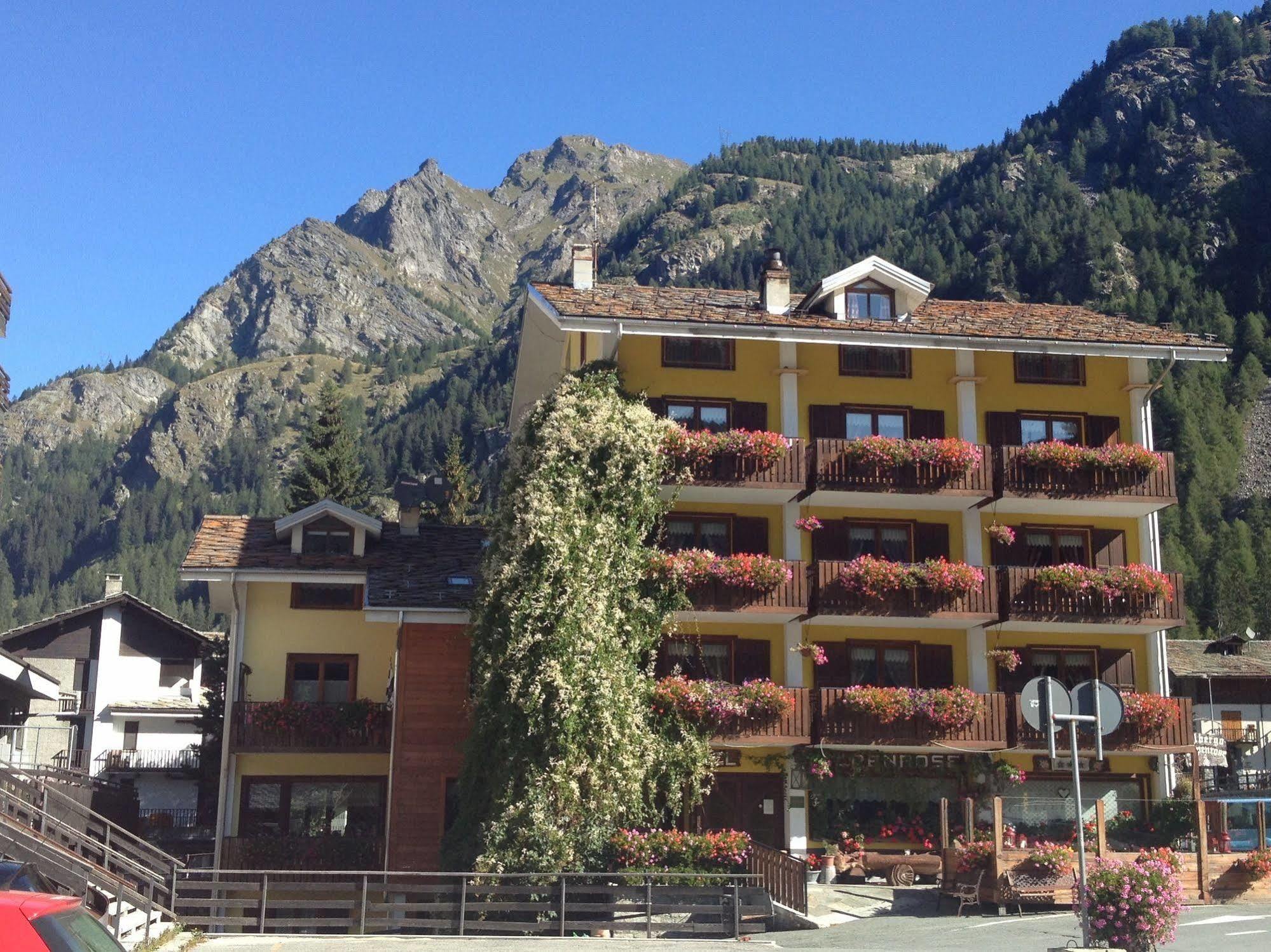 Albergo Alpenrose Ski&Bike Mountain Hotel Грессоне-Сен-Жан Экстерьер фото